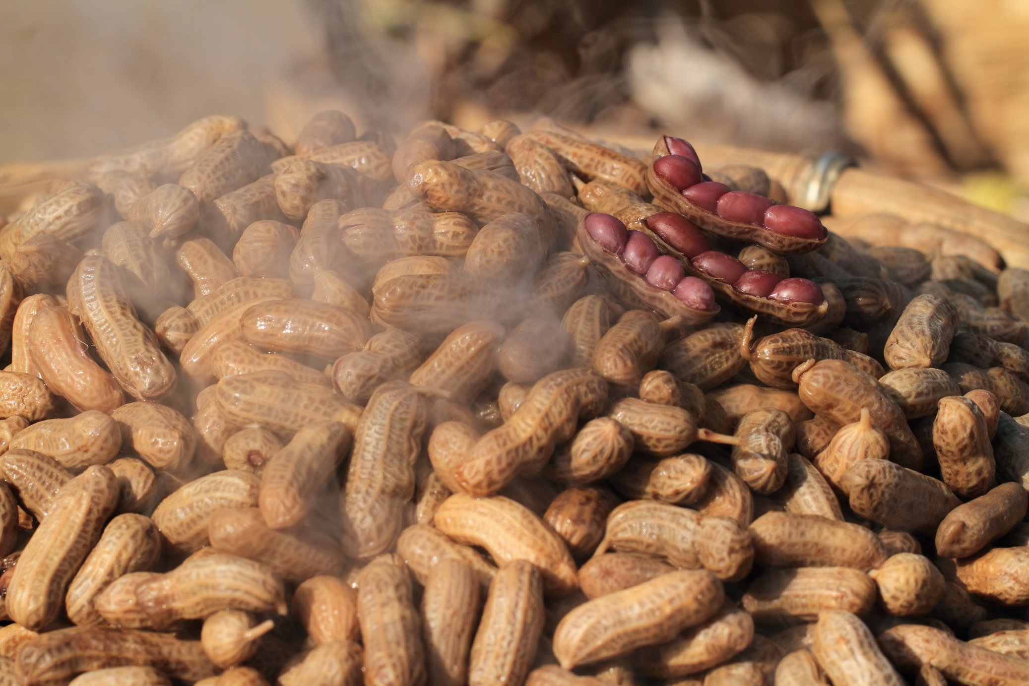 Boiled peanuts with salt