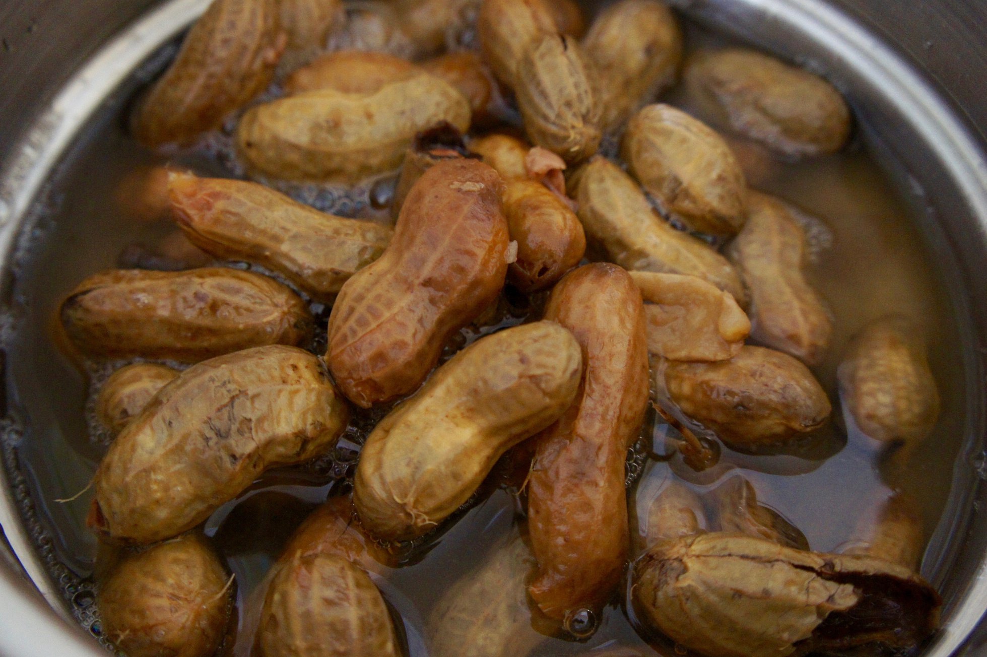 Boiled Peanuts